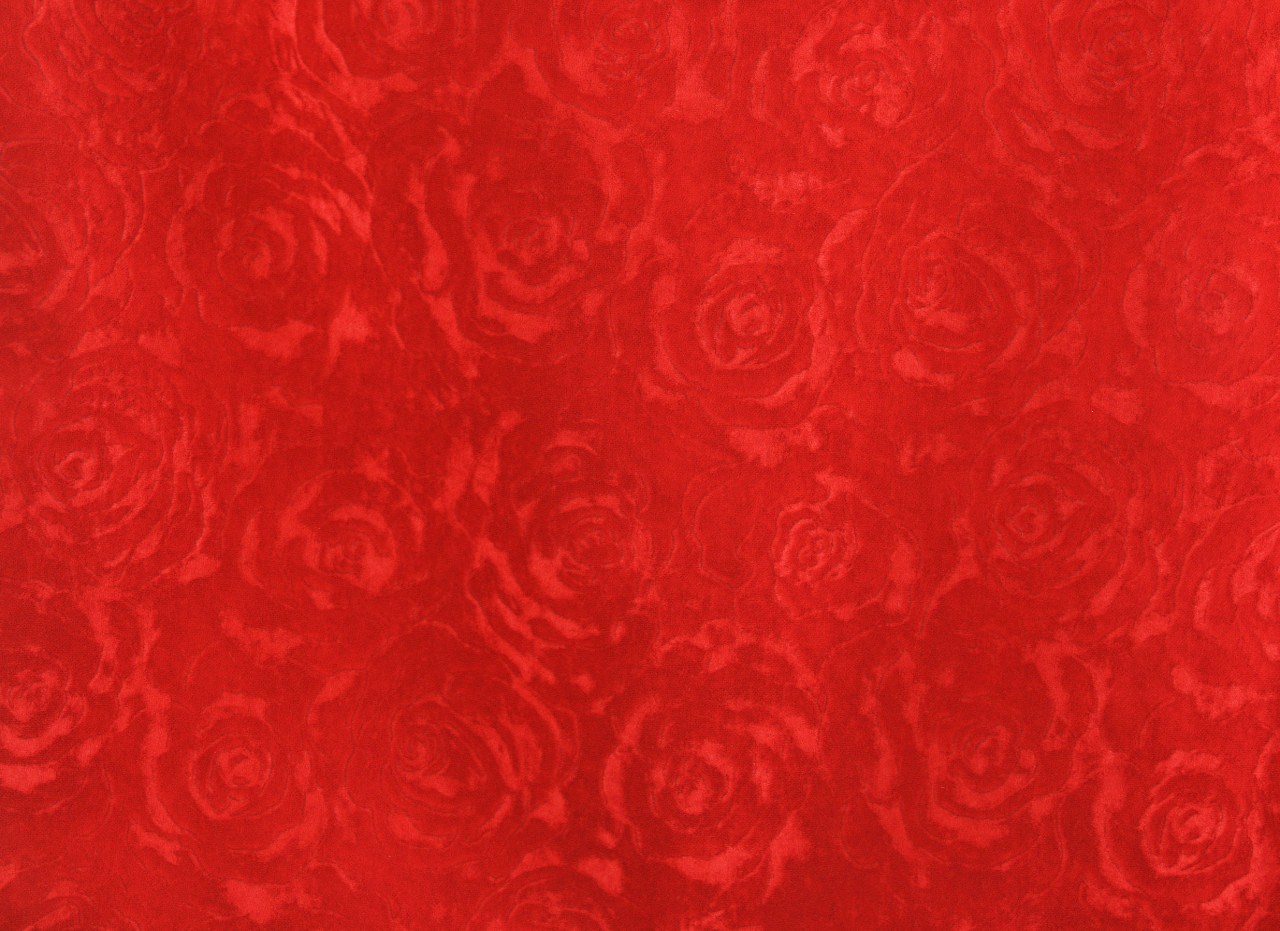 ARBOR ROSE SCARLET